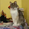 Отзыв от Оля Позднякова